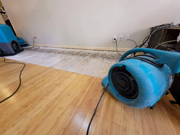 Professional Basement Flood Cleanup technician working in Hurricane, UT
